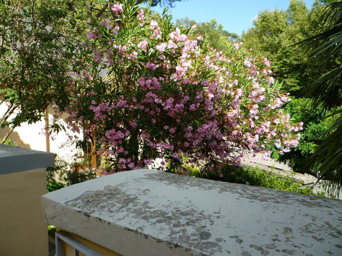 Villa Santa Margherita - B&B Cortona Exterior foto